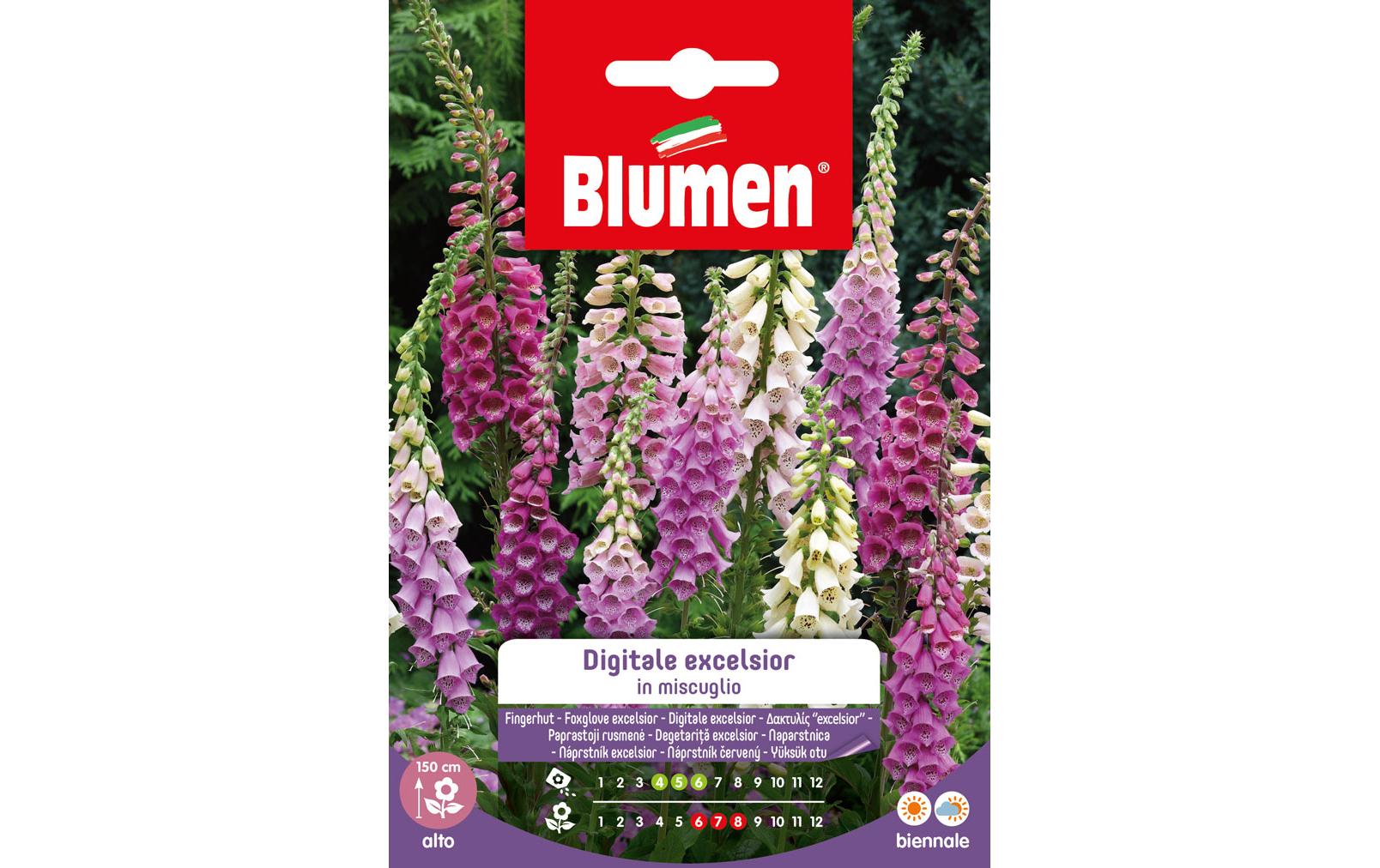 Saatgut Fingerhut Excelsior MixBlumensamen