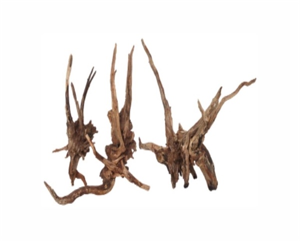 AquastoreXL Wabi Kusa Smal Hout Donker 7-18cm 2 stuks