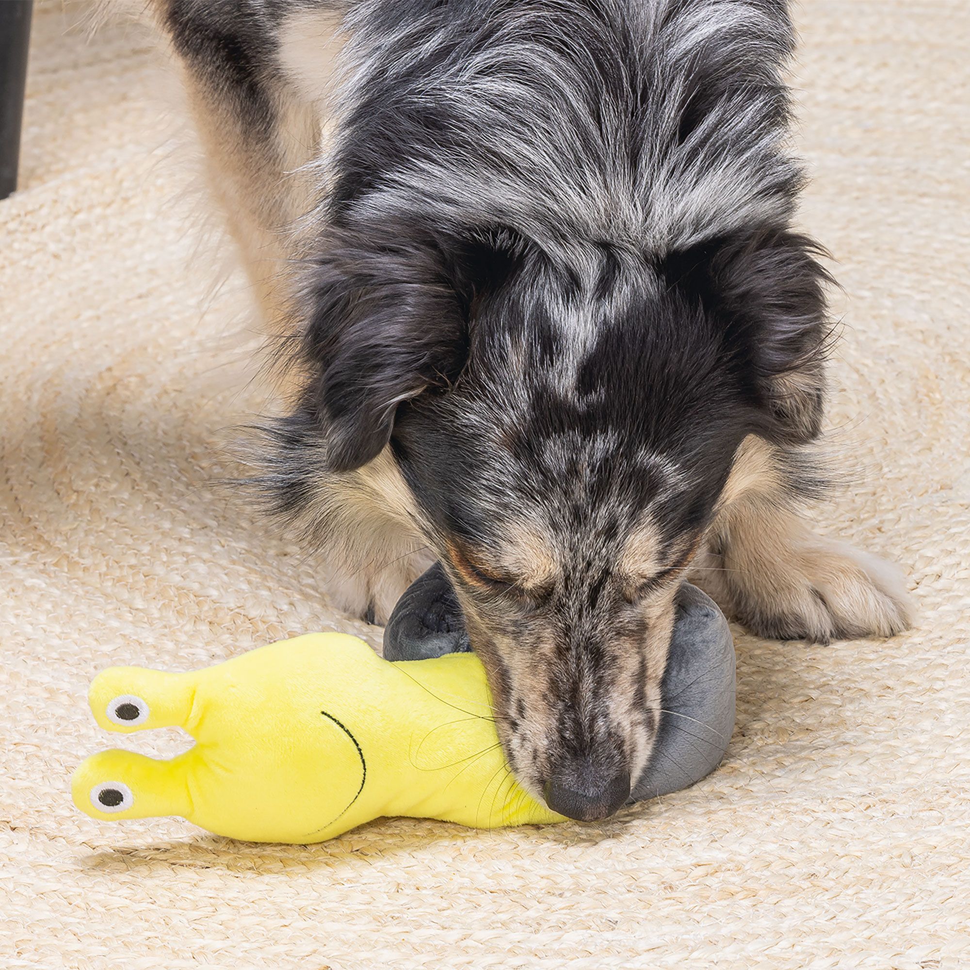 Beeztees Versteckspielzeuge - Schnecke