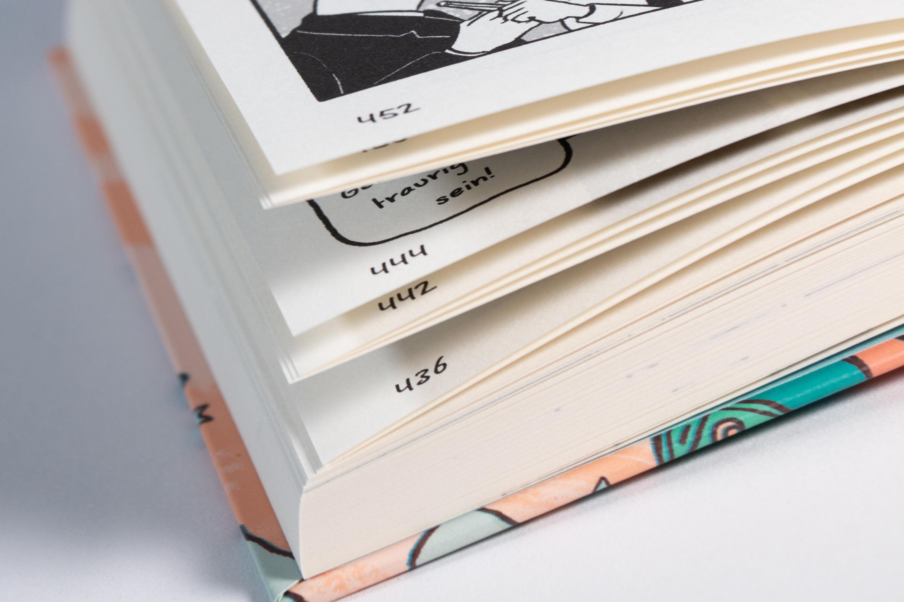 Heartstopper Volume 2 (deutsche Hardcover-Ausgabe) / Heartstopper Bd.2