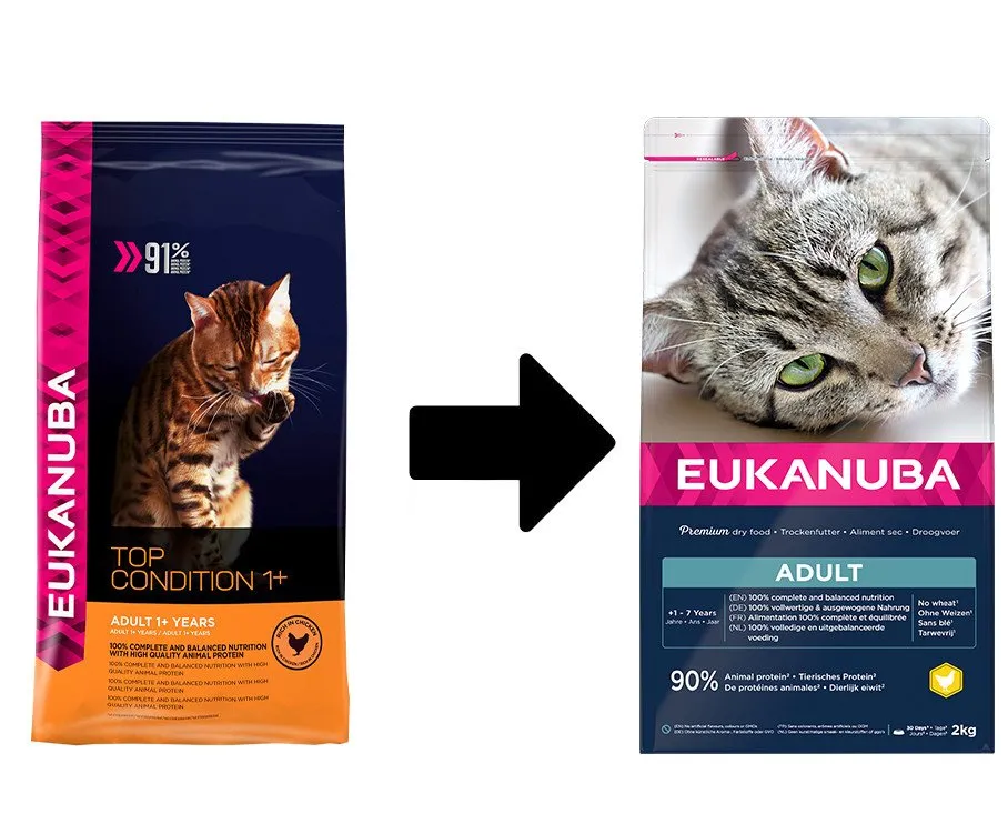 Eukanuba CAT Adult, 10kg