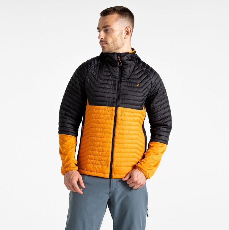 Dare 2B - Descending II - Donsjack - Hybride Mix van Gerecycled Polyester - Capuchon met STRETCH Rand