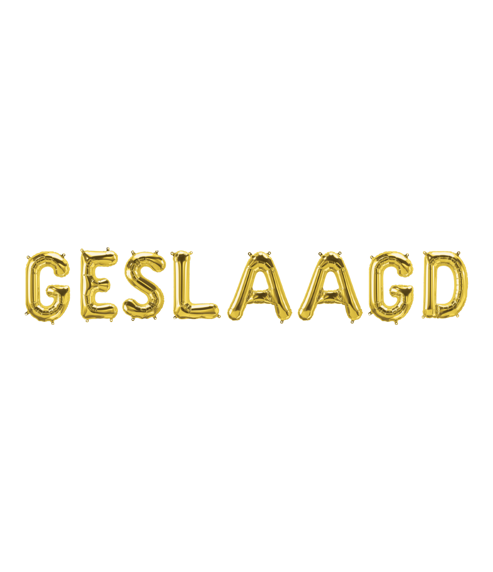 Gouden Ballonnen Set Geslaagd 1,9m