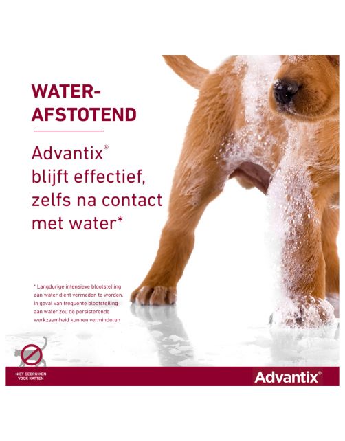 Advantix Spot On 40 0.4 ml - Anti vlooien en tekenmiddel