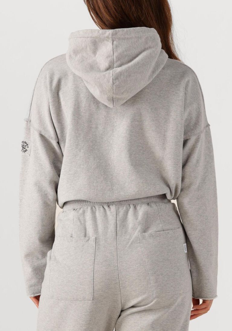 lichtgrijze penn & ink sweater sweater w25f1707