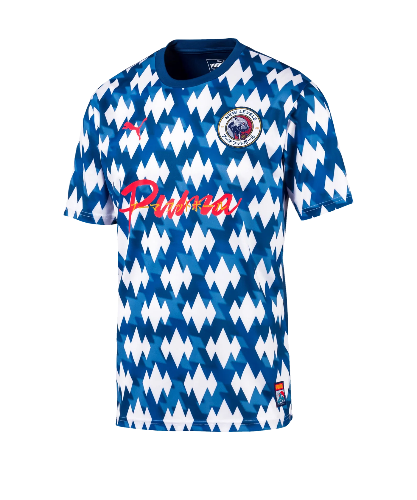 PUMA Showdown T-Shirt Blau Weiss F01