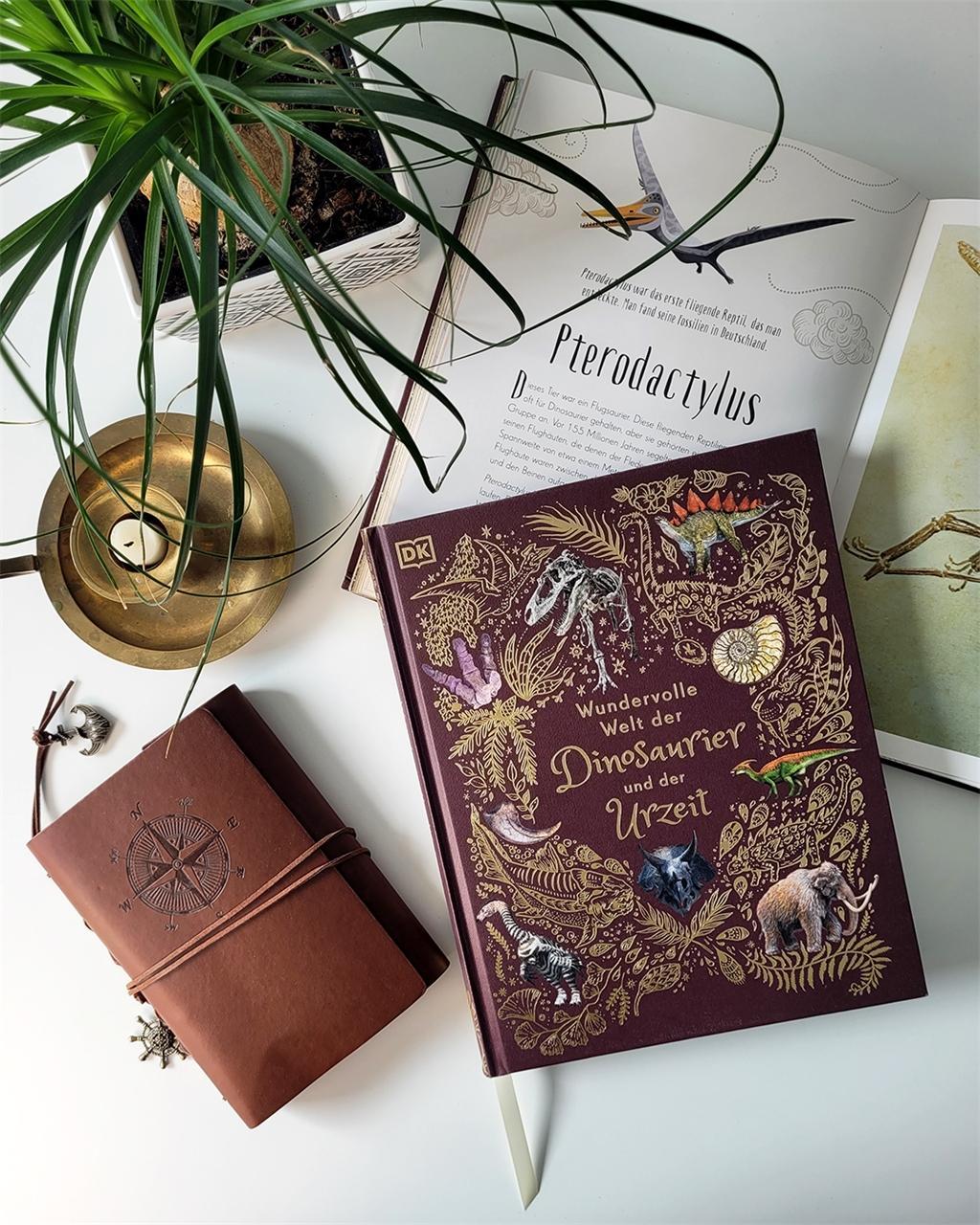 Wundervolle Welt der Dinosaurier und der Urzeit / Wundervolle Welt Bd.4