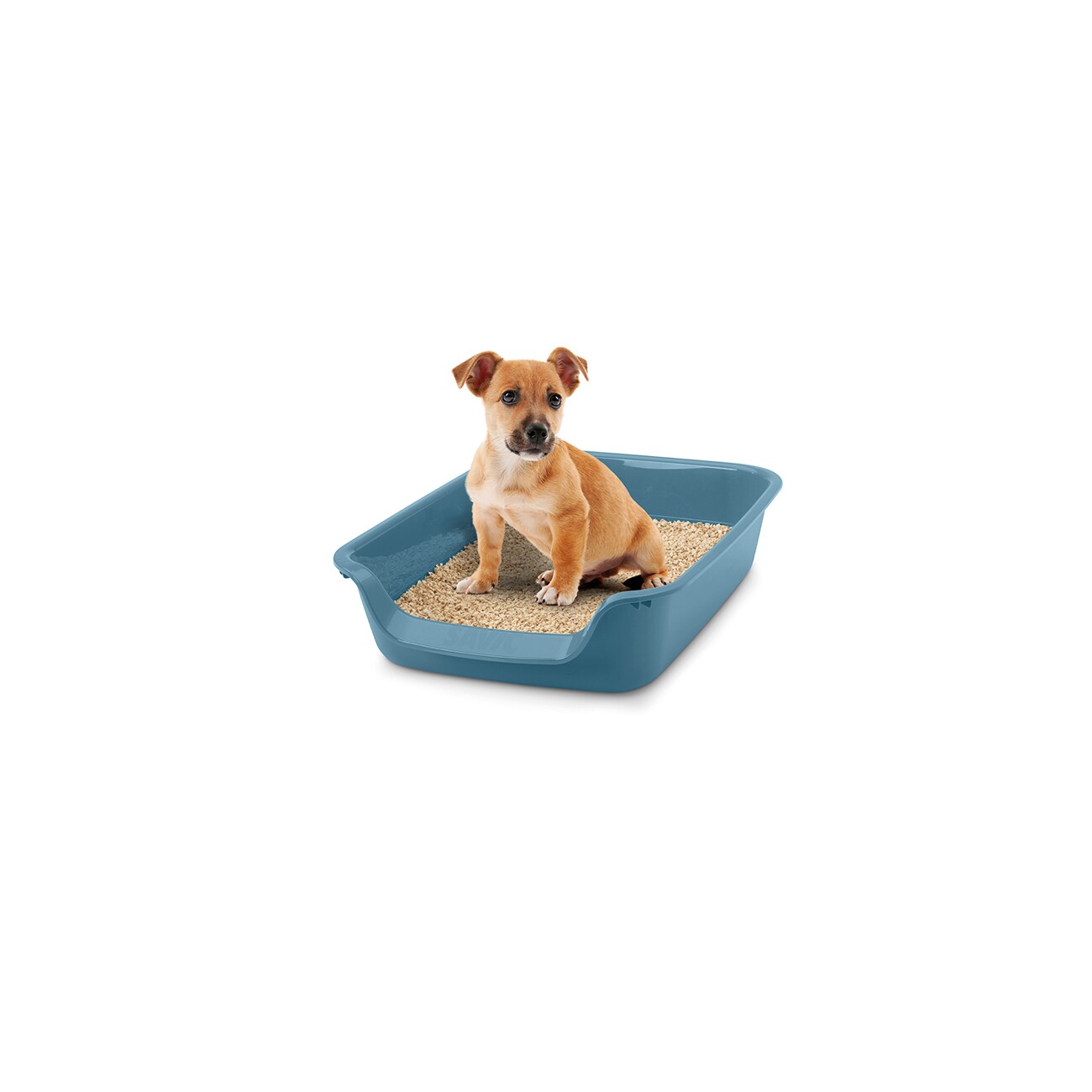 Savic Schalentoilette Junior Toilet blaustein