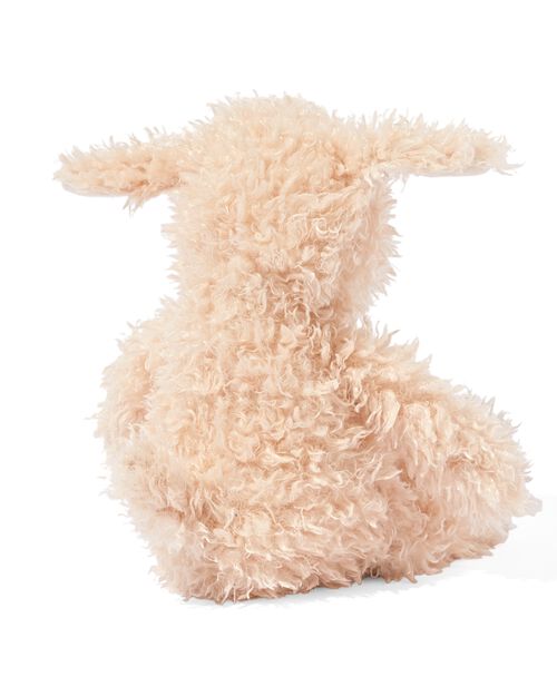 chien doudou