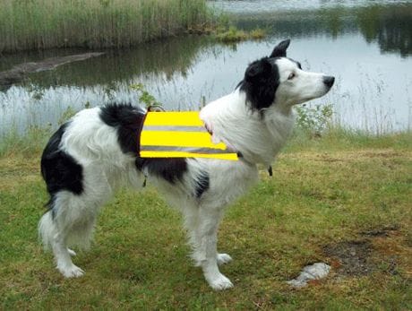Kjøp Breeders refleksdekken til din hund fra Hekta På Tur