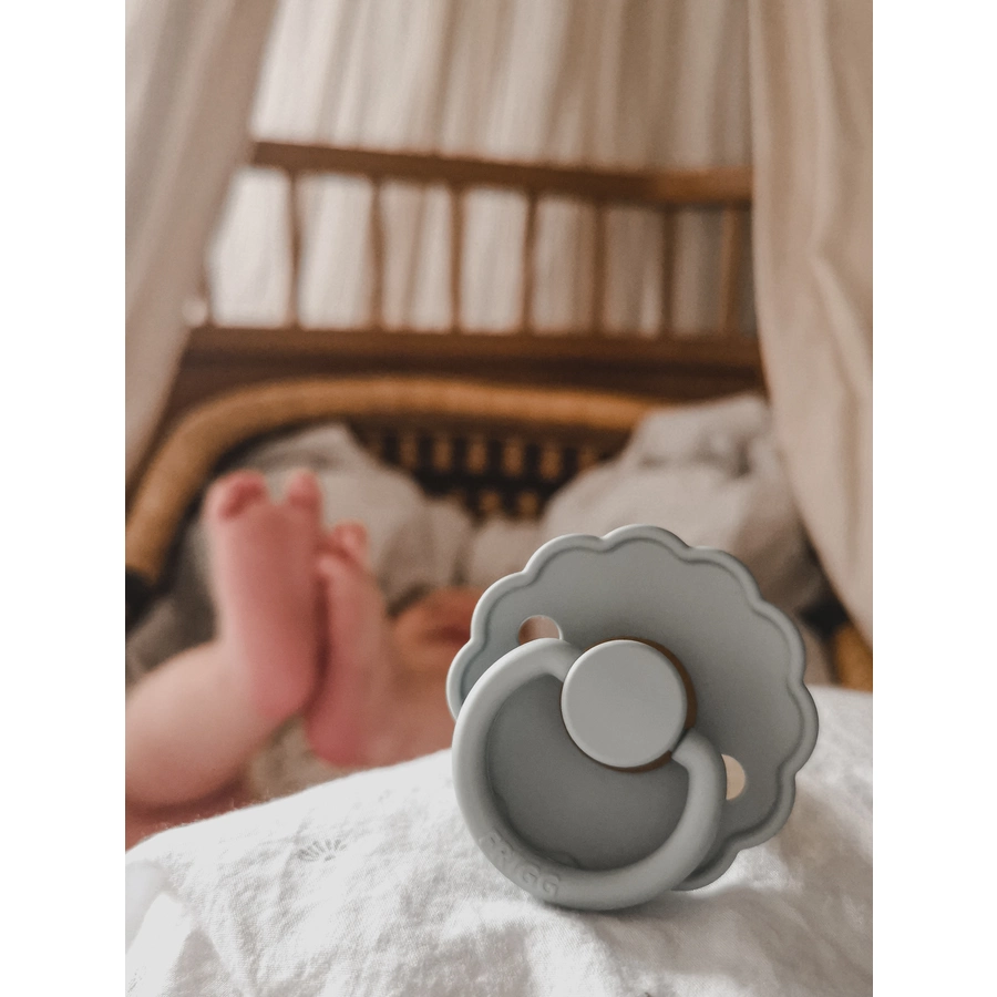 FRIGG Schnuller Daisy Dusty RoseLily pad 6-18 Monate