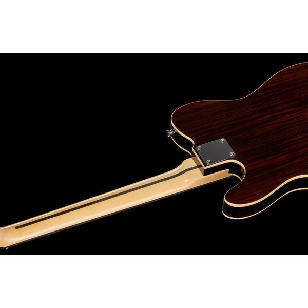 Harley Benton TE-70 Rosewood Deluxe Series