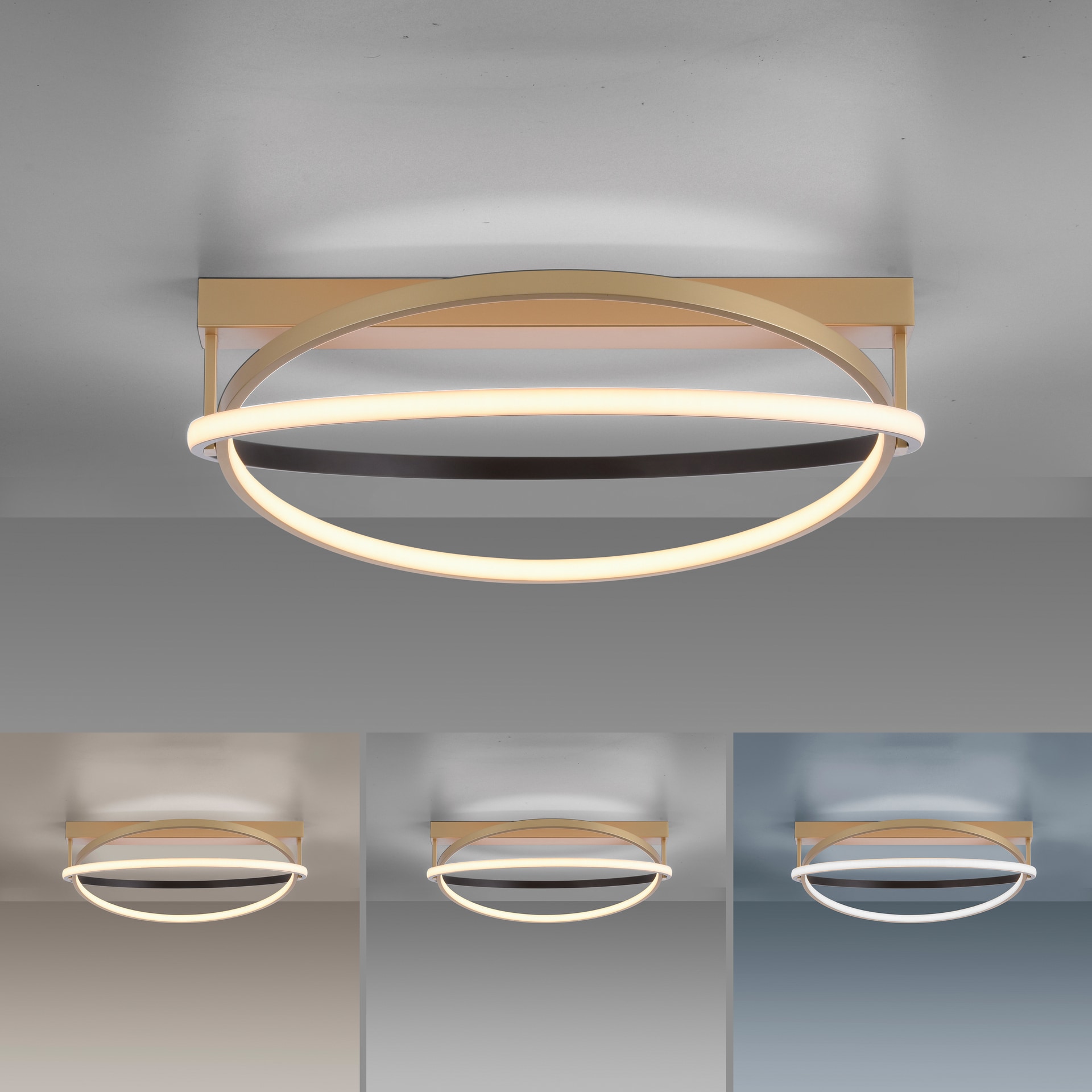 Paul Neuhaus LED Deckenlampe Q-BELUGA rund Messing/ Schwarz matt