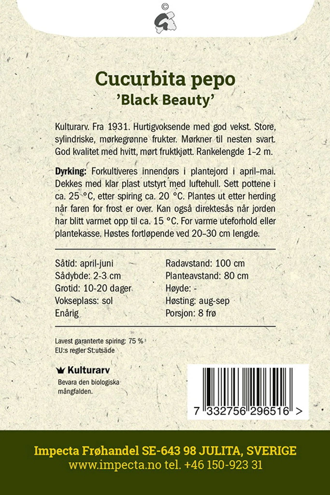 Cucurbita pepo 'Black Beauty' Squash 'Black Beauty'