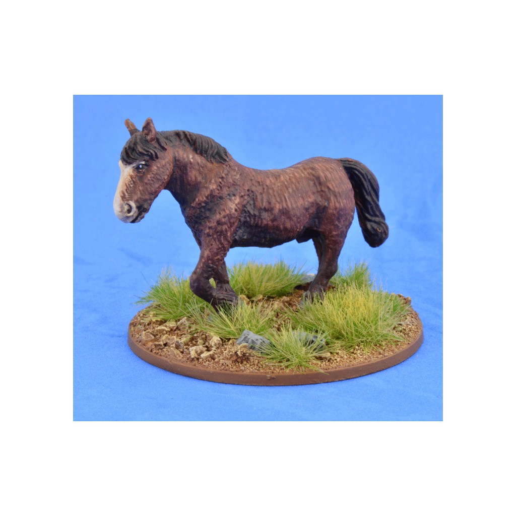 Saga - Civils et bétails - Poney 3