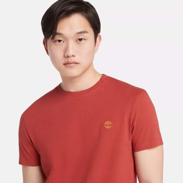 Camiseta Dunstan River Crewneck Masculina na cor vermelha