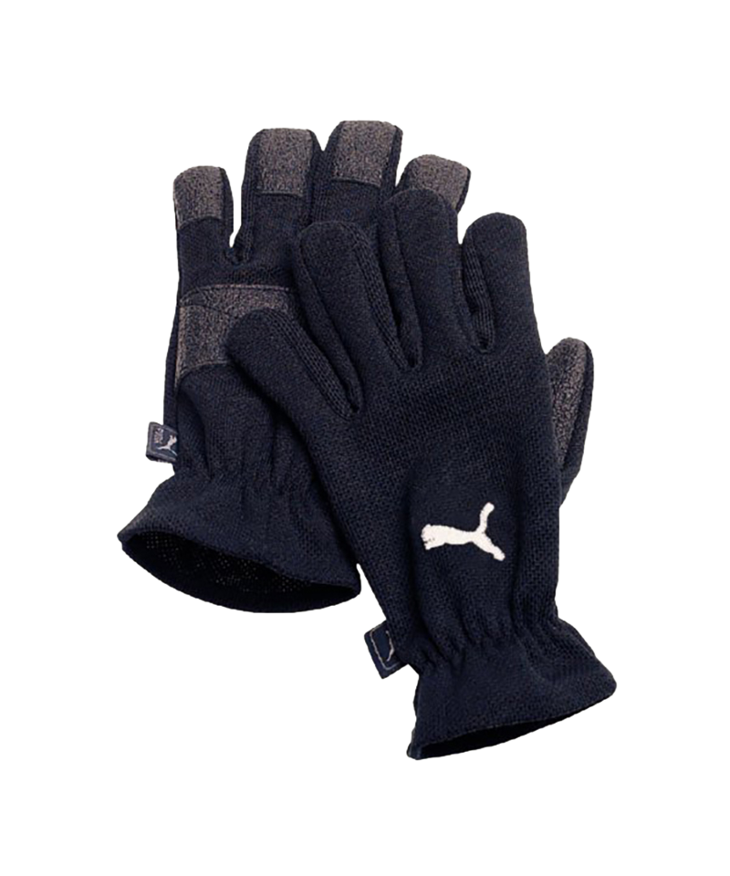 PUMA Feldspielerhandschuh Winter Players F01