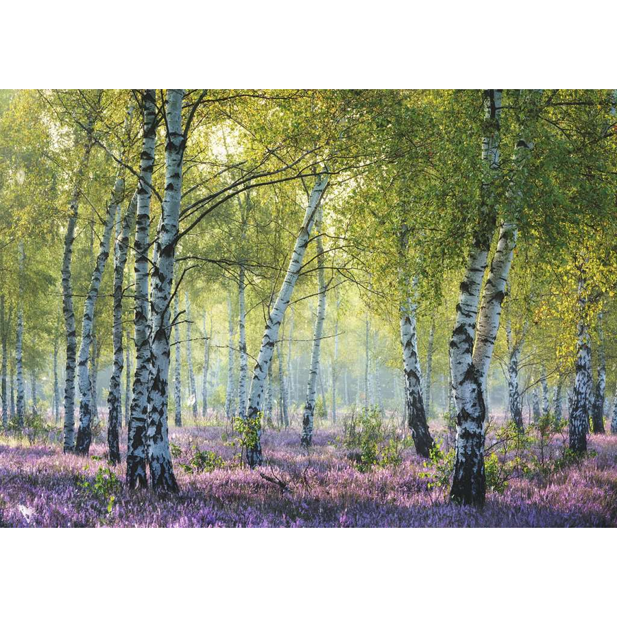 Ravensburger Birkenwald bunt