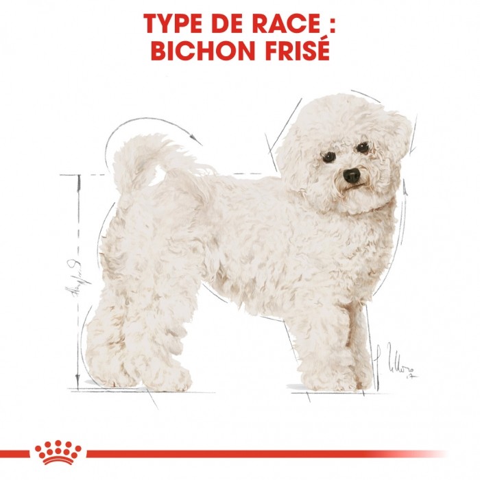 Royal Canin Bichon Frisé Adult