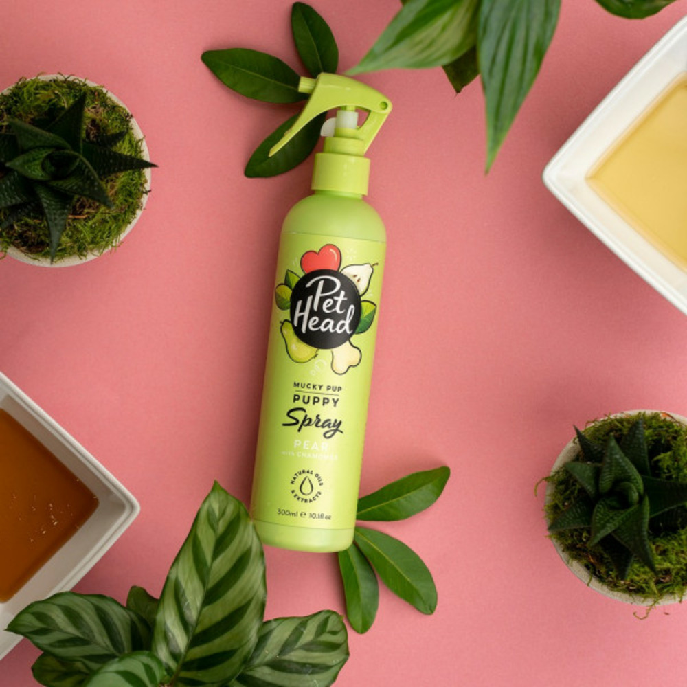 Spray déodorant mucky pup chien poire petit (300 ml)