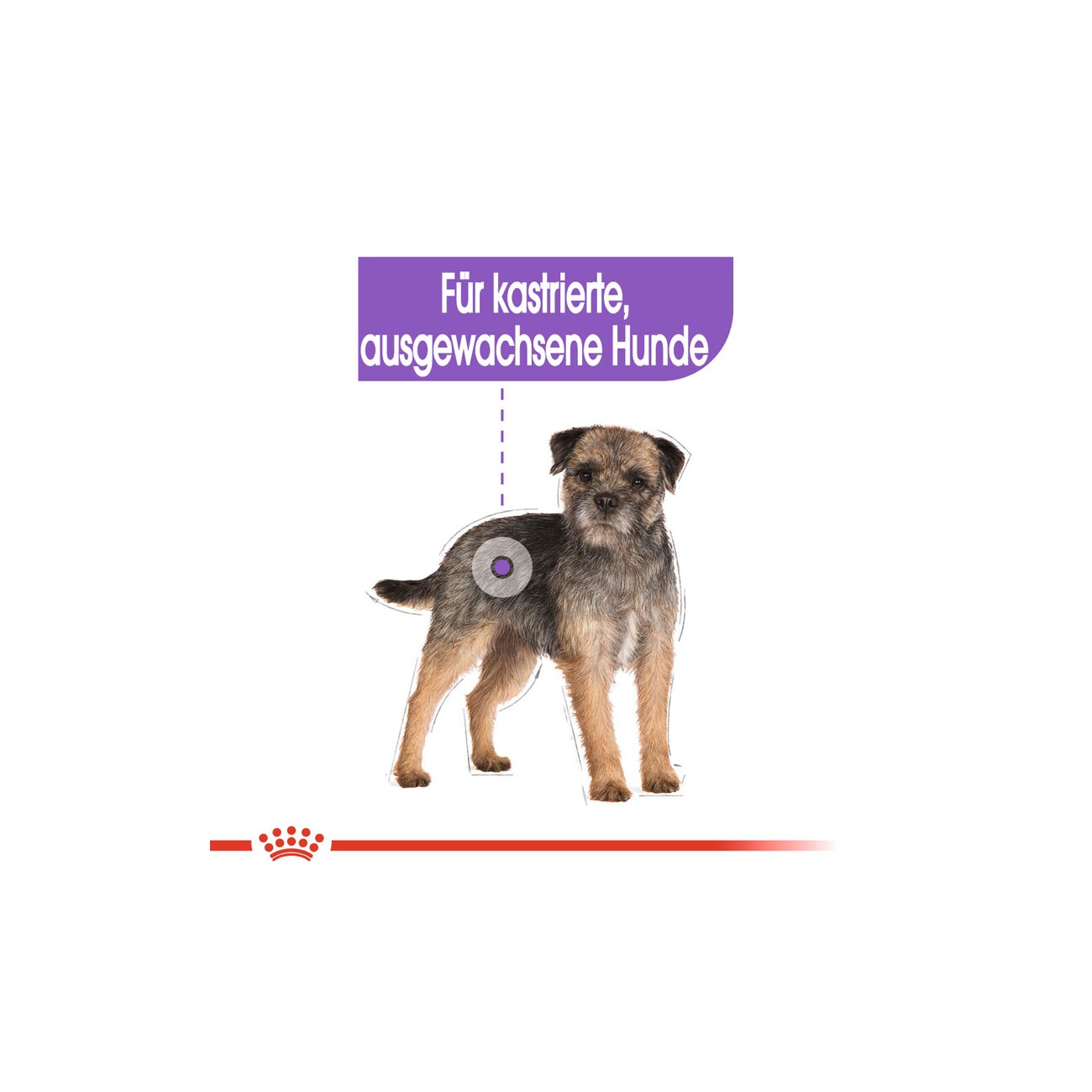 ROYAL CANIN Sterilised Adult Mousse 12x85 g