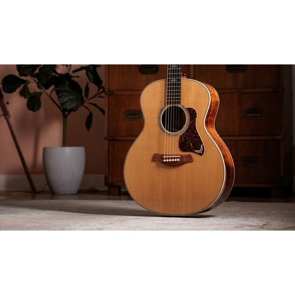 Taylor Gold Label 814e Koa
