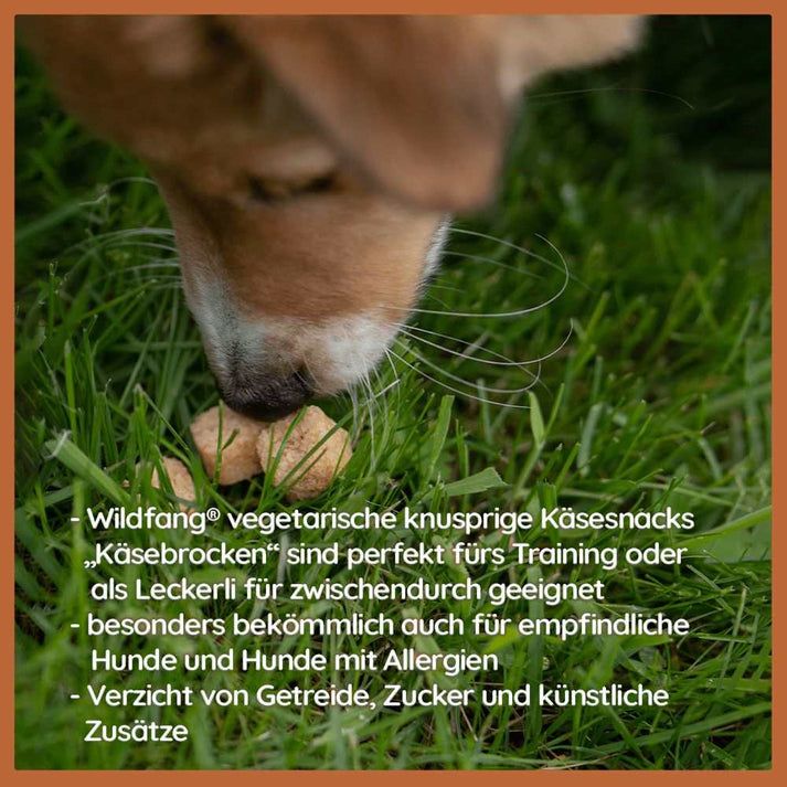 WILDFANG® Käsebrocken