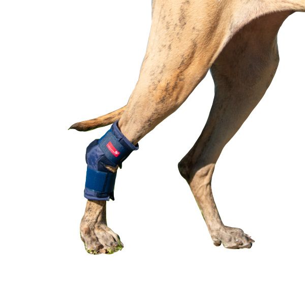 Sprunggelenkbandage Schaumstoff zur Ruhigstellung bei Bandinstabilitäten