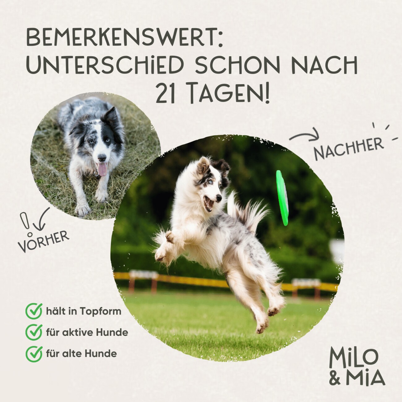 Milo & Mia Daily Bites - Knochen & Gelenke 300 g