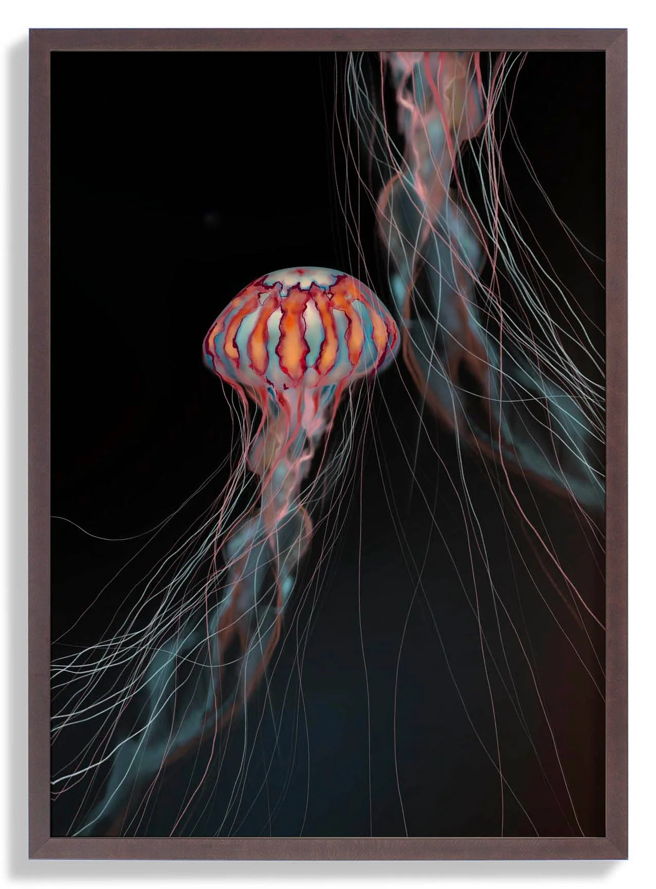 Universum Geist Qualle von Julia Charlott