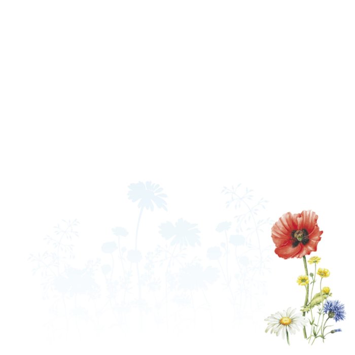 Vrolijke felicitatiekaart met bloemen