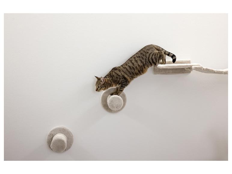 Katten klimmuur