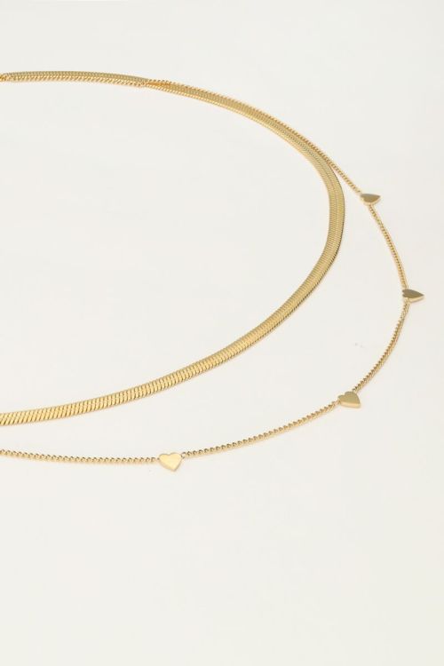 Dubbele ketting met platte schakel en hartjes