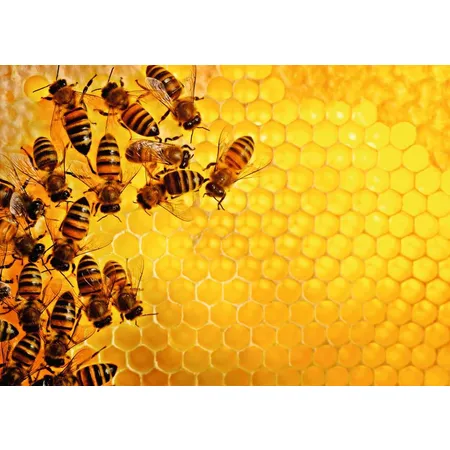 Ravensburger Puzzle - Bienen, 1000 Teile