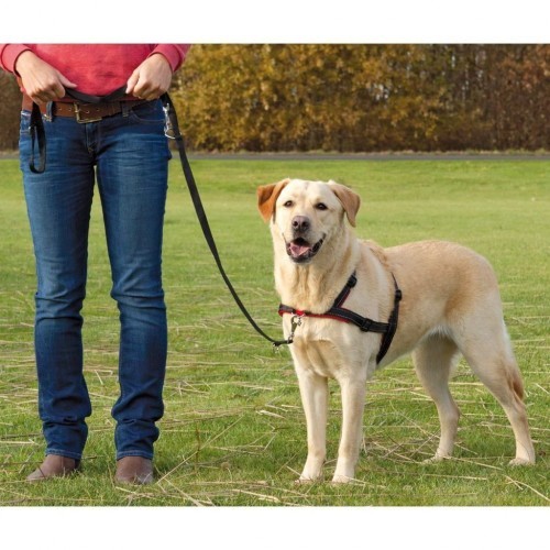 Coleira preta para cães
