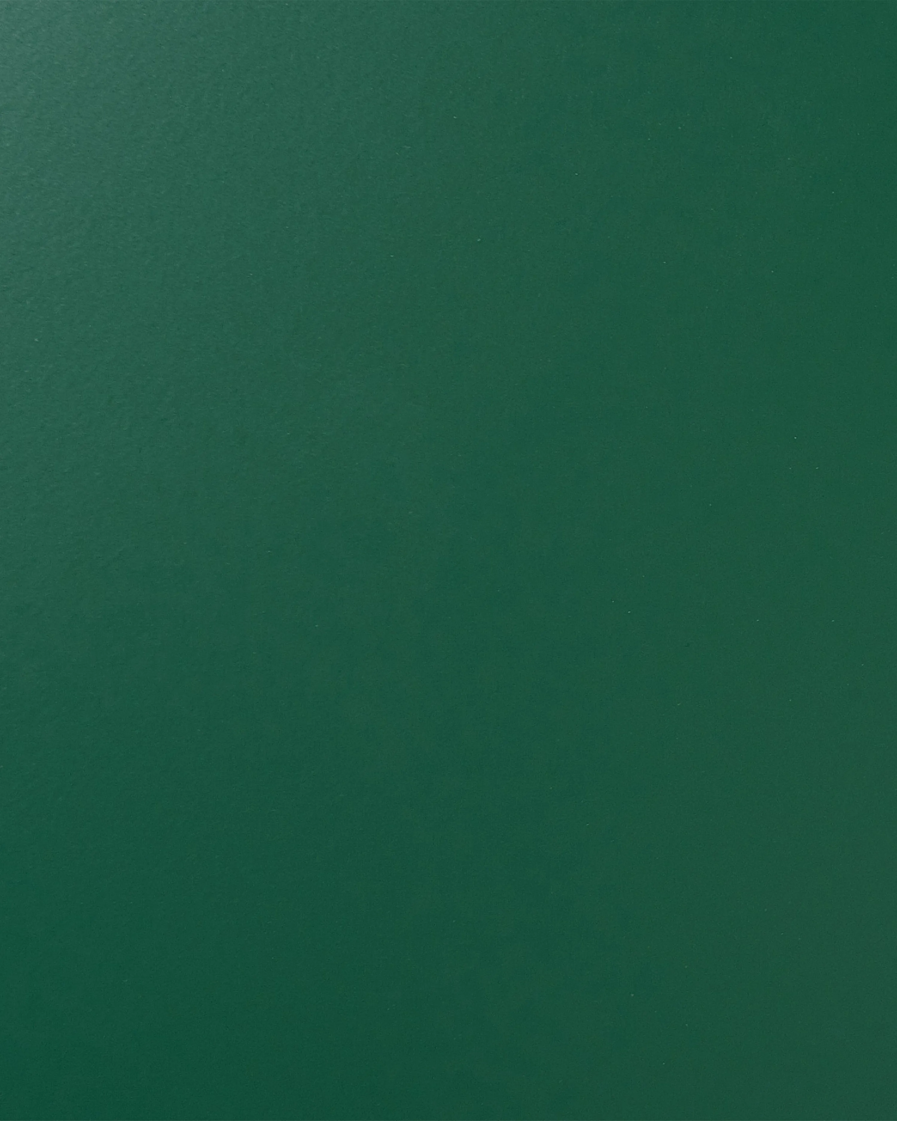 Kast WAKATIPU Metaal Groen