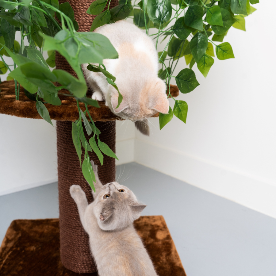 Arranhador para Gatos com Design de Folhas Naturais