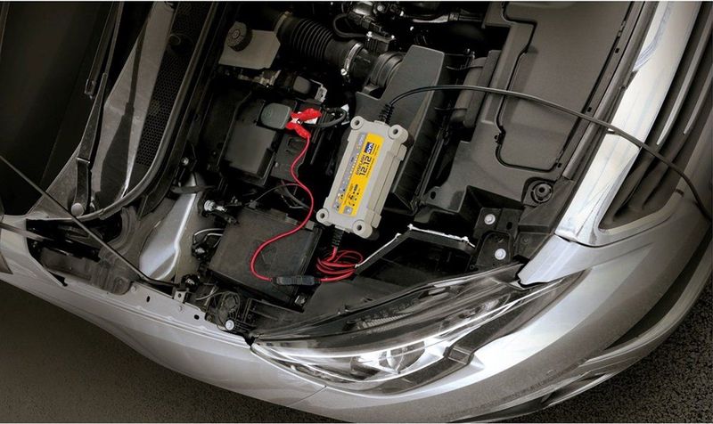 Gys - GYSFLASH 12.12 - Oplader/laadhouder - Geleverd met Aansluitklemmen - Laadvermogen 20-250 Ah
