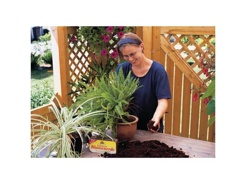Neudorff Kokohum Blumenerde, Brikett, 600 g Blumenerde für Blumen und Aussaat
