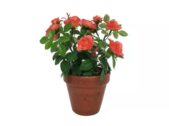 Rosier plante fleur artificielle extérieur cimetière tissu corail 23cm