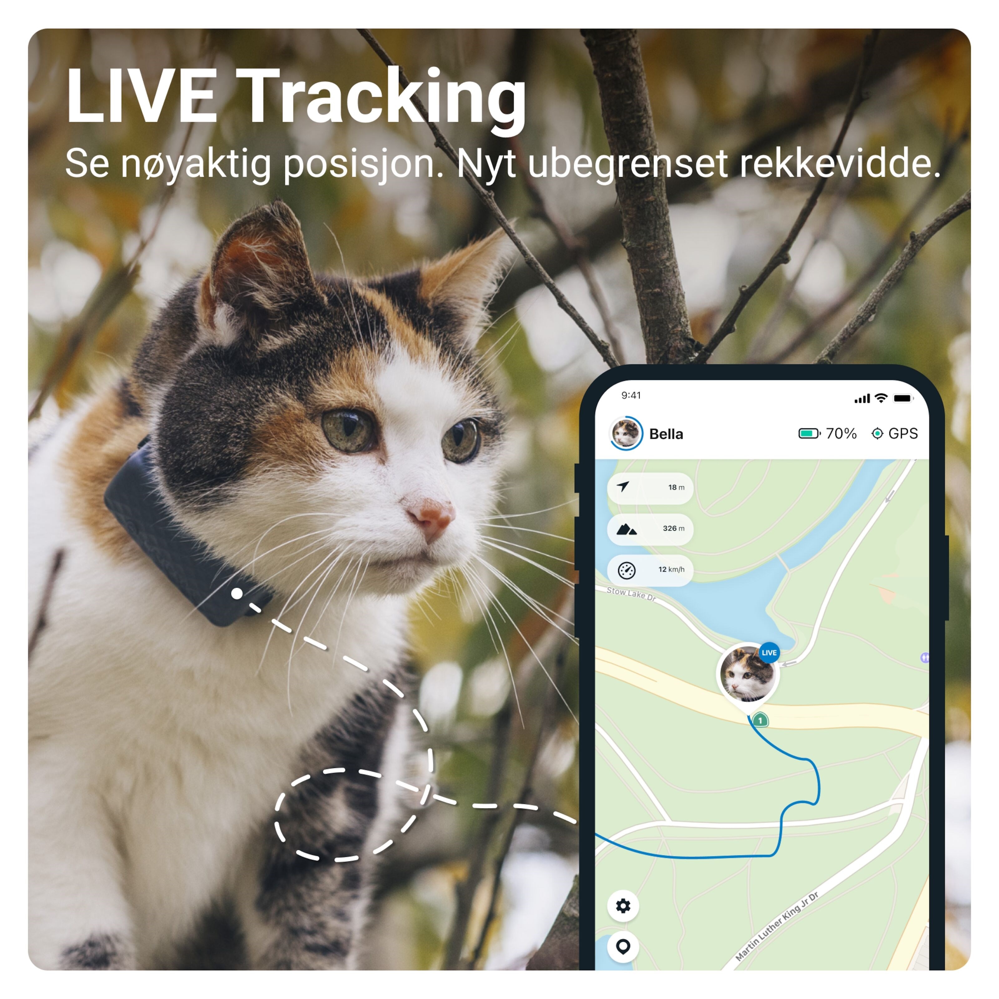 Tractive CAT Mini – GPS-tracker og helseovervåking for katt