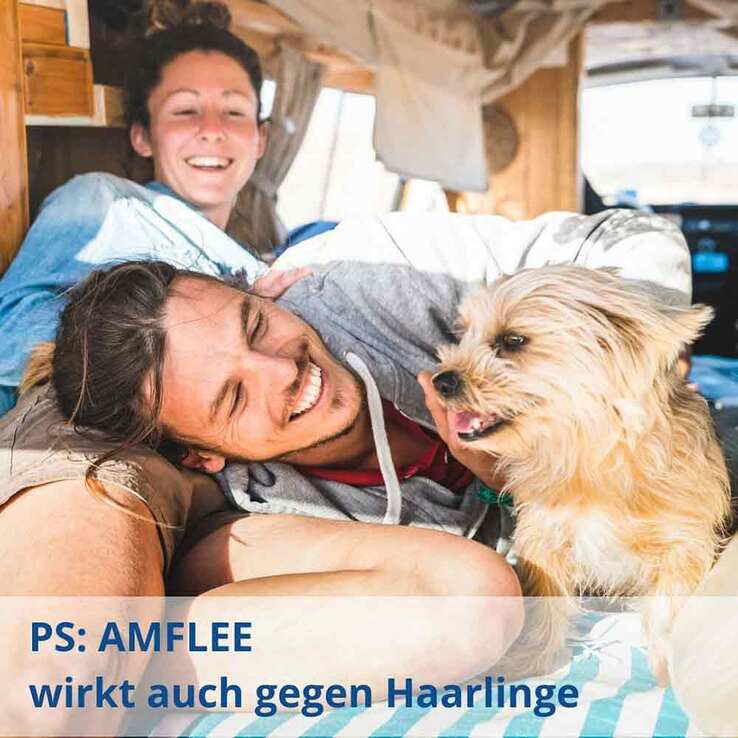 Amflee 134 mg Spot-On Lösung für mittelgroße Hunde, 3 St