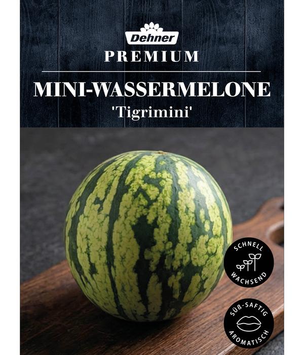 Dehner Premium Samen Mini-Wassermelone