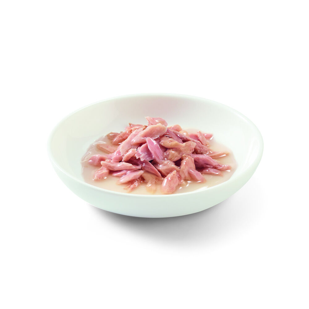 Schesir - Kattenvoer in water gekookt - 85 Gram - tonijn