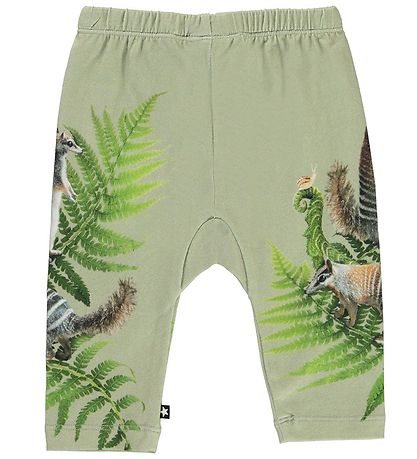 Molo Hosen - Baumwolle - Hosen - Sabb - Fern Climbers