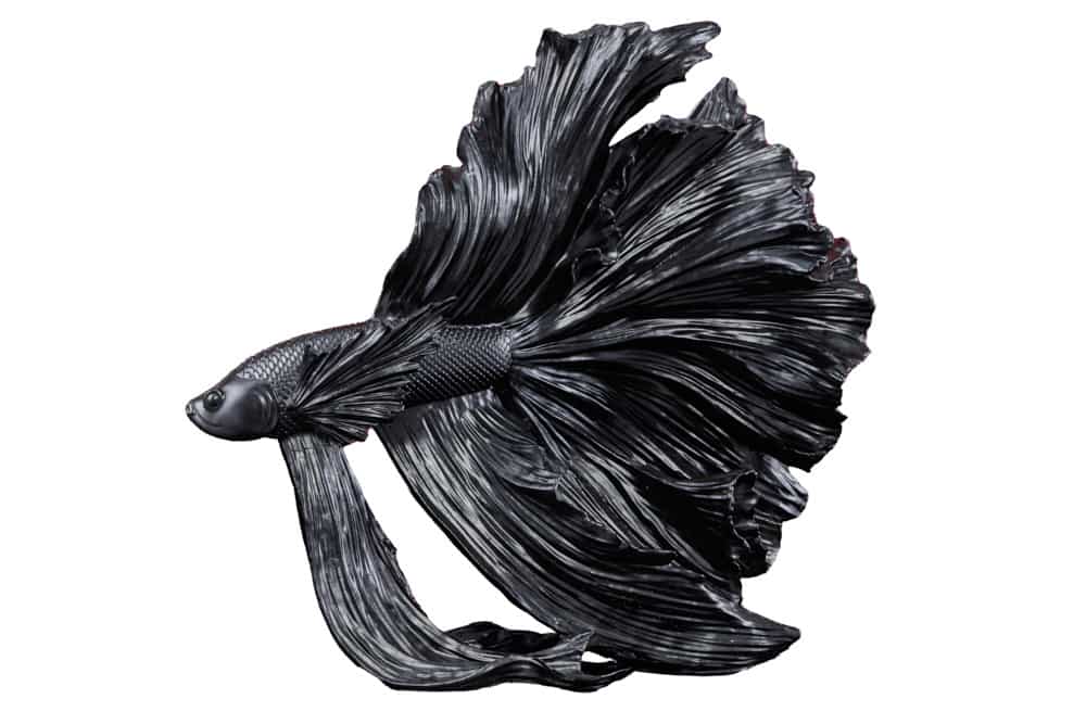 Design Deko Figur Kampffisch CROWNTAIL 35cm schwarz Betta Fisch Skulptur