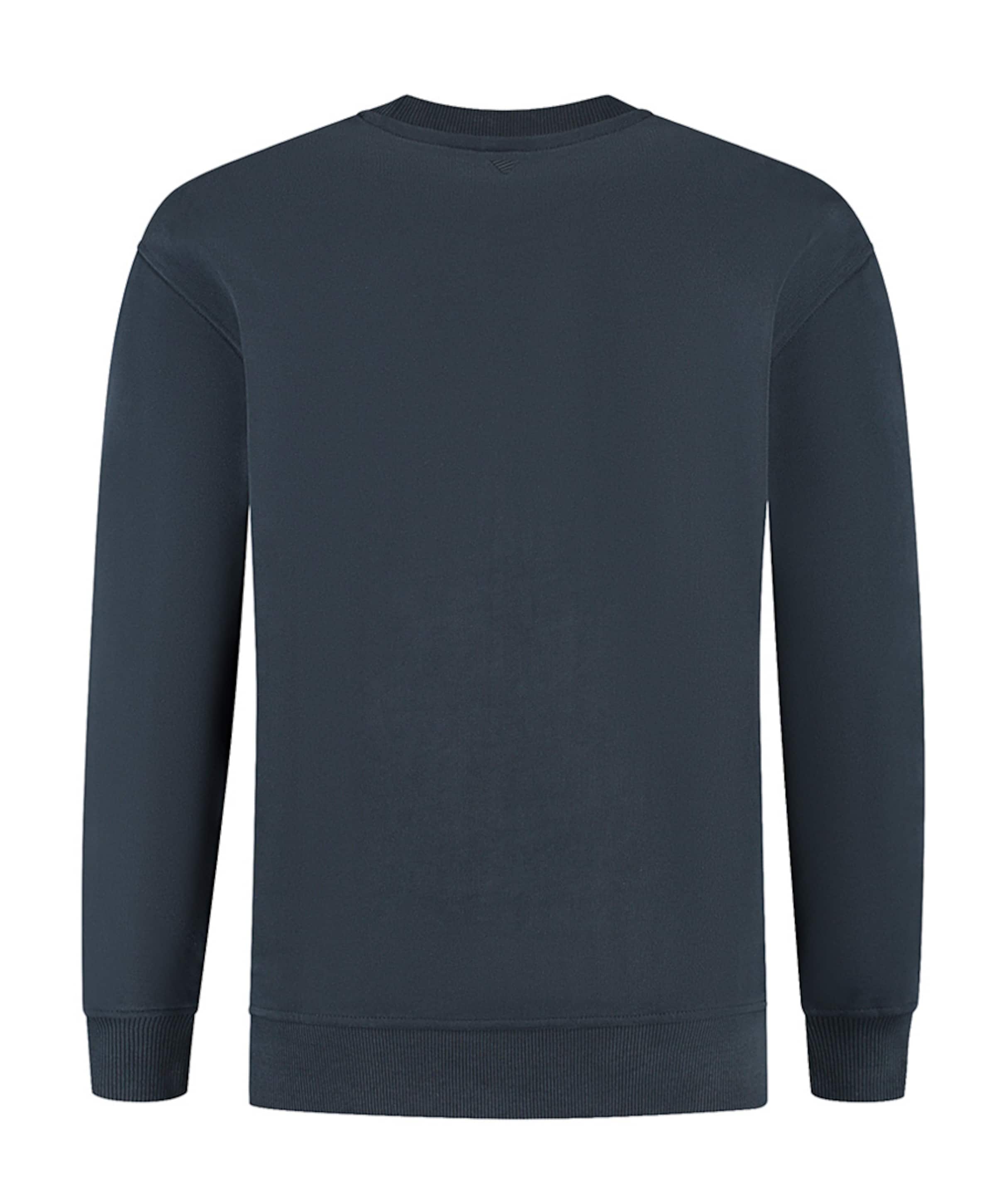 Pure Path Heren sweater blauw