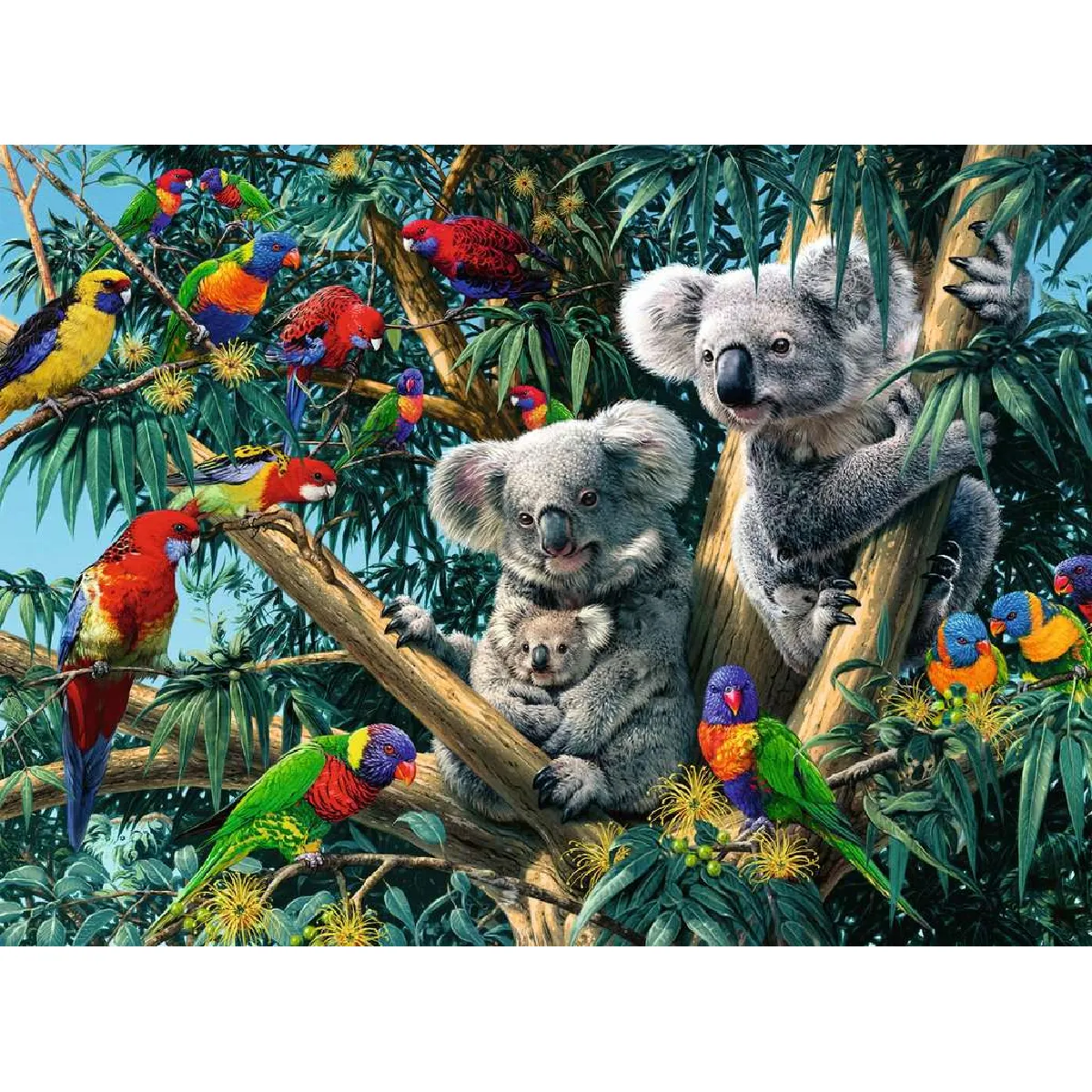 Ravensburger Puzzle - Koalas dans l'arbre