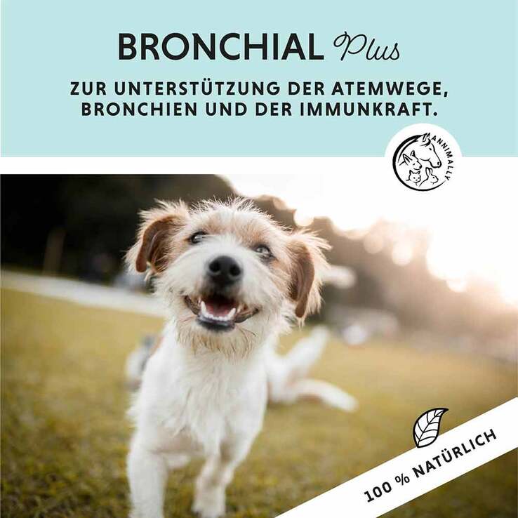 Bronchial Plus Atemwegsmischung Saft für Hunde, 100 ml