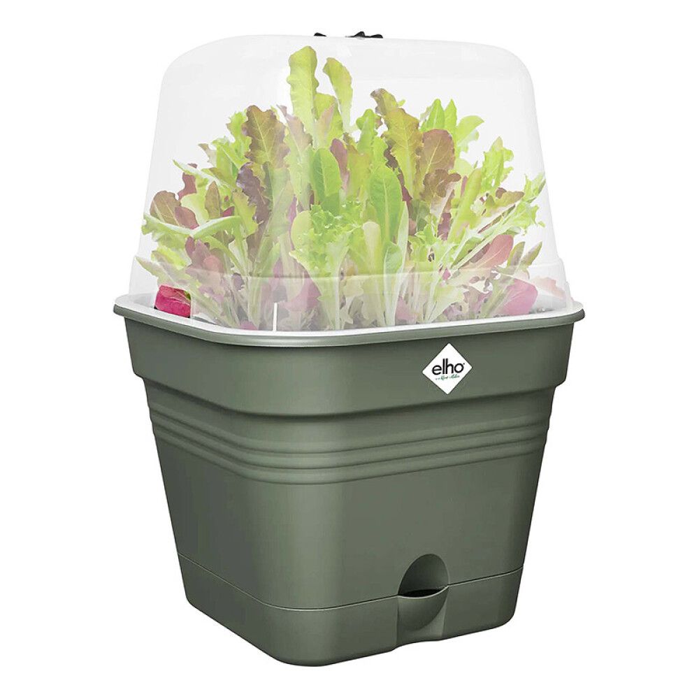 DYRKEPOTTE ELHO GREEN BASICS 30X30CM GRØNN
